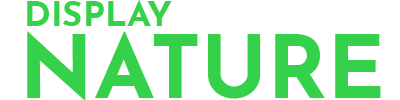 Display Nature Website Logo