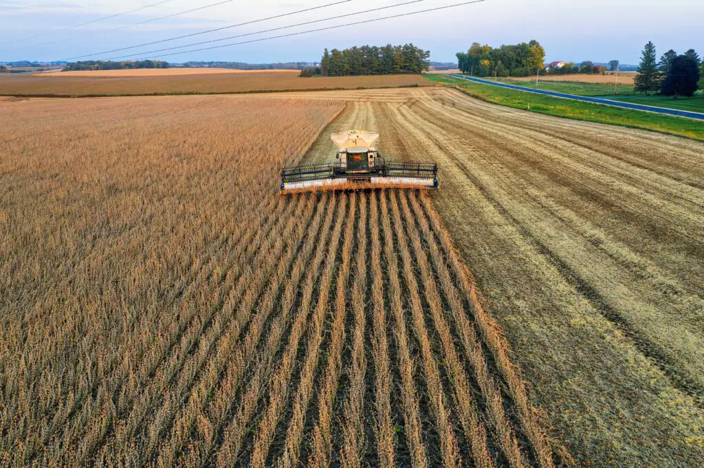 Commercial Farming