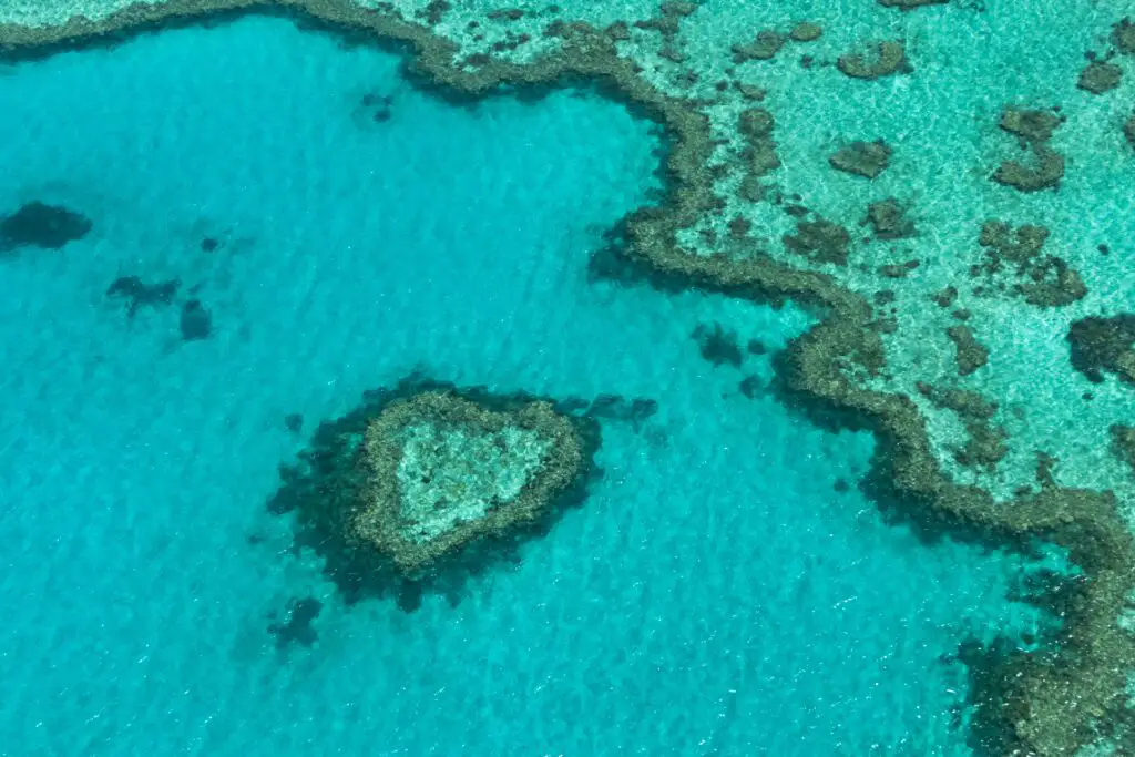 Great Barrier Reef Australia