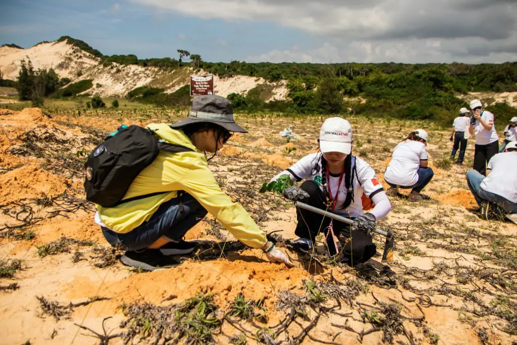 How Can We Protect Forests