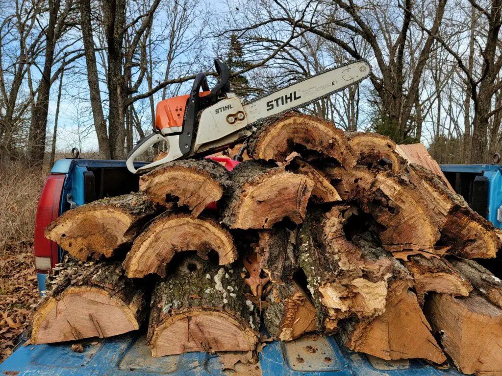 Legal Logging