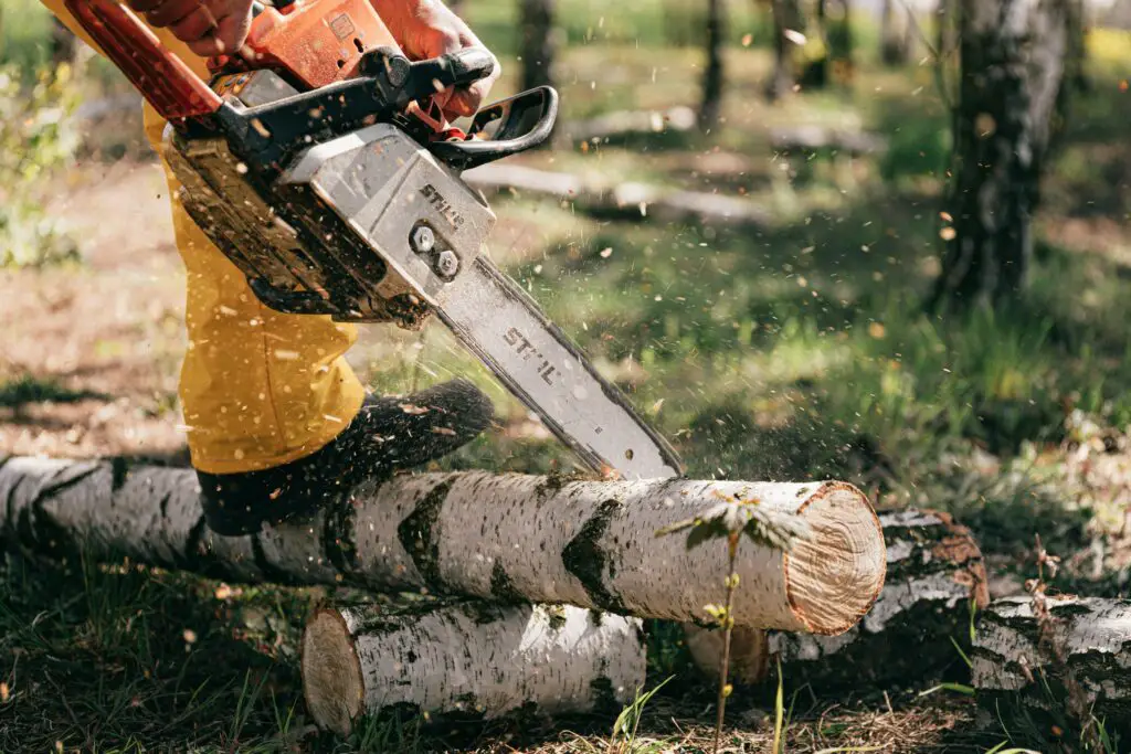 Logging and Wood Industry