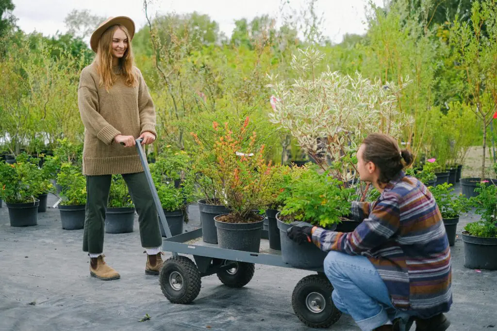 Mental Health Boost from Gardening