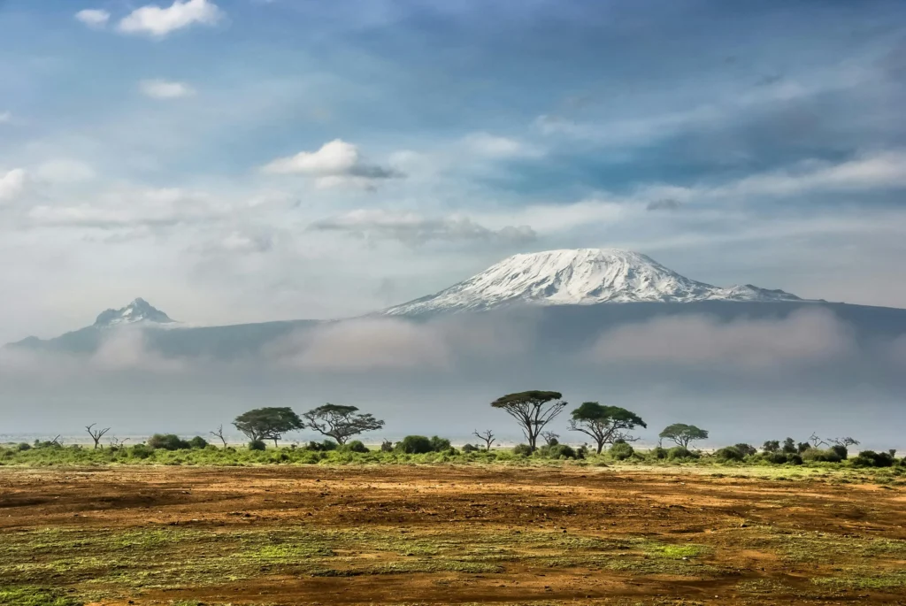 Mount Kilimanjaros Shira Plateau Tanzania