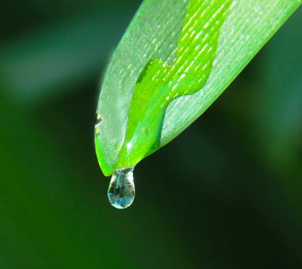 Rainfall and Surface Runoff