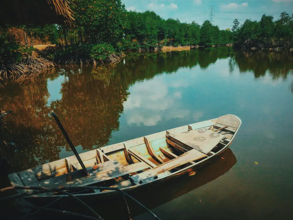 Sundarbans Mangrove Forest