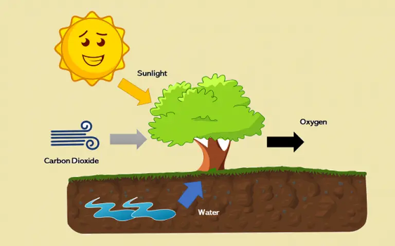 carbon dioxide and release