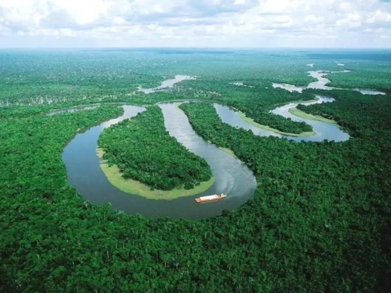 Amazon Rainforest South America