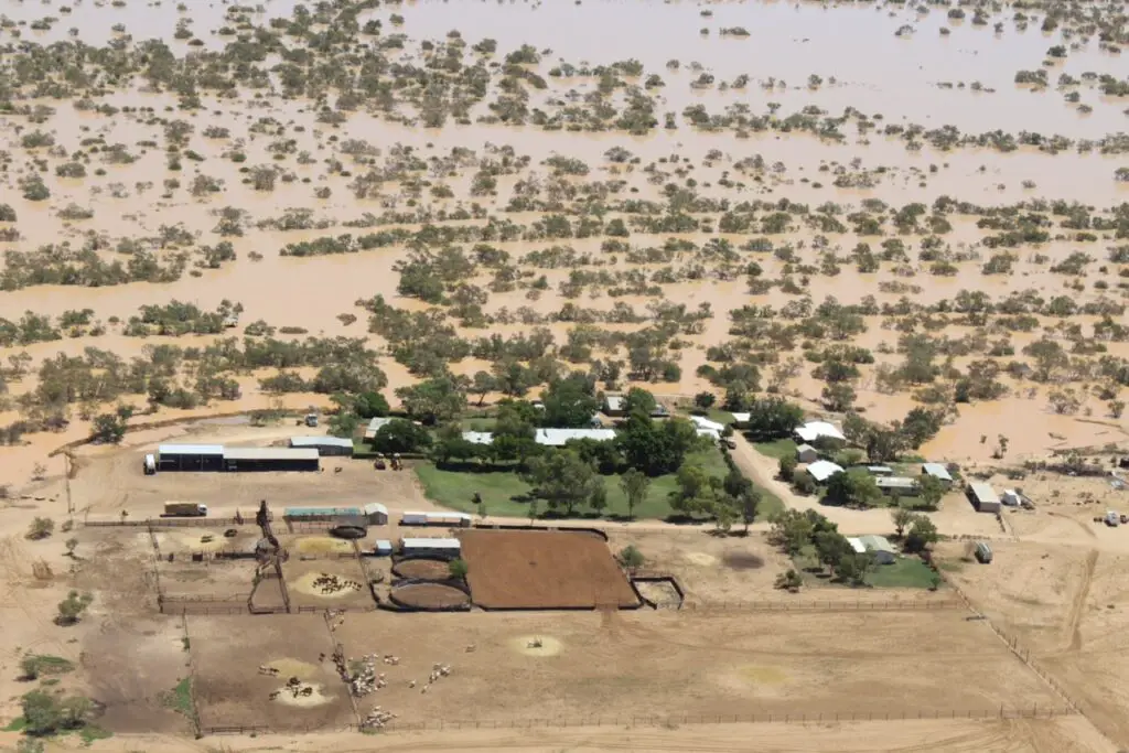 Davenport Downs Australia