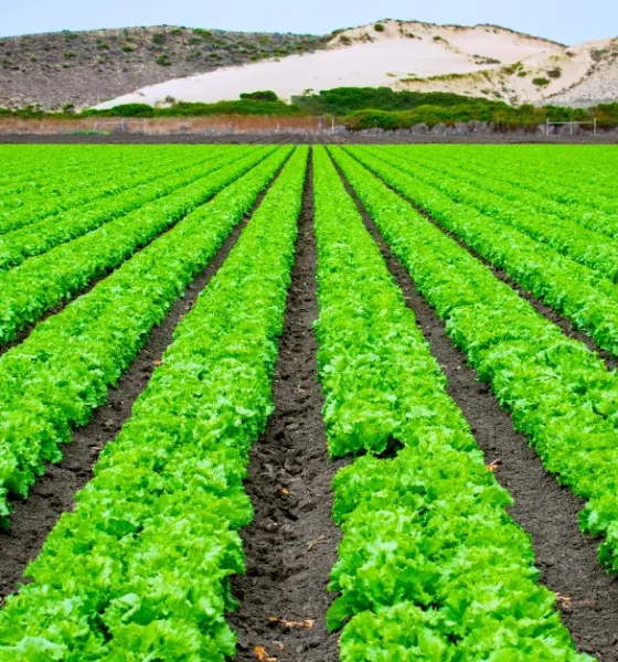 The 10 largest farms in the world