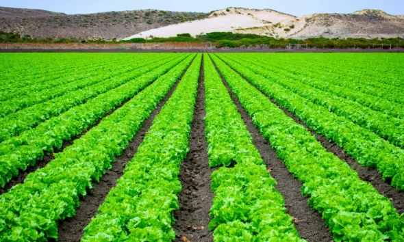 The 10 largest farms in the world