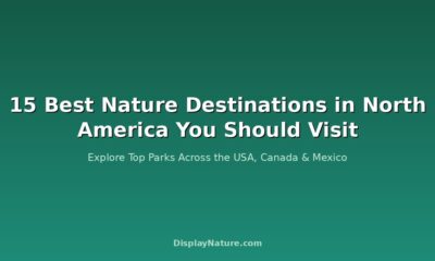 article 15 north america nature