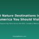 article 15 north america nature
