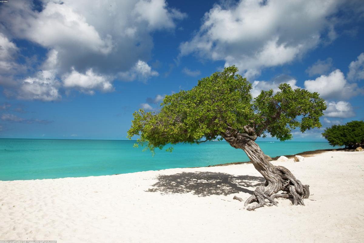 Aruba Beach Caribbean