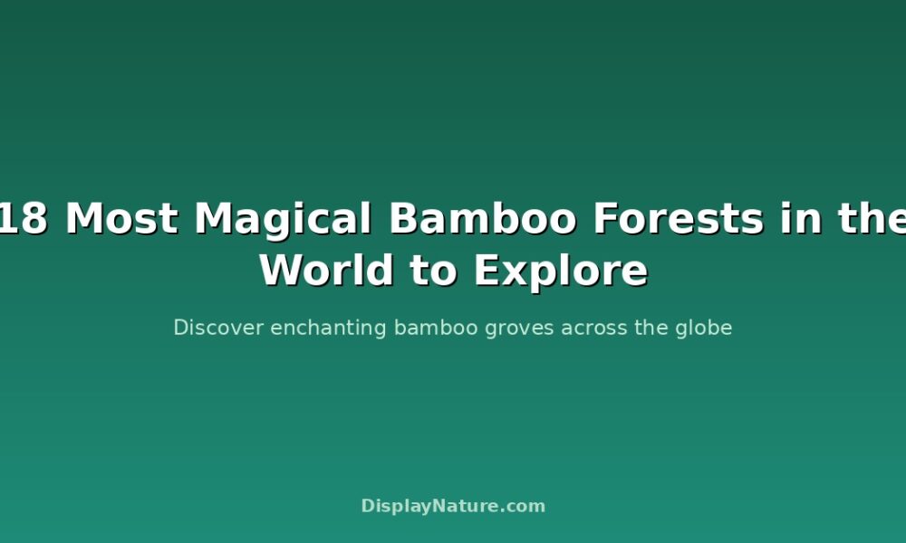 bamboo forests