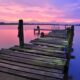 12 Best Places to See Flamingos in Their Natural Habitat