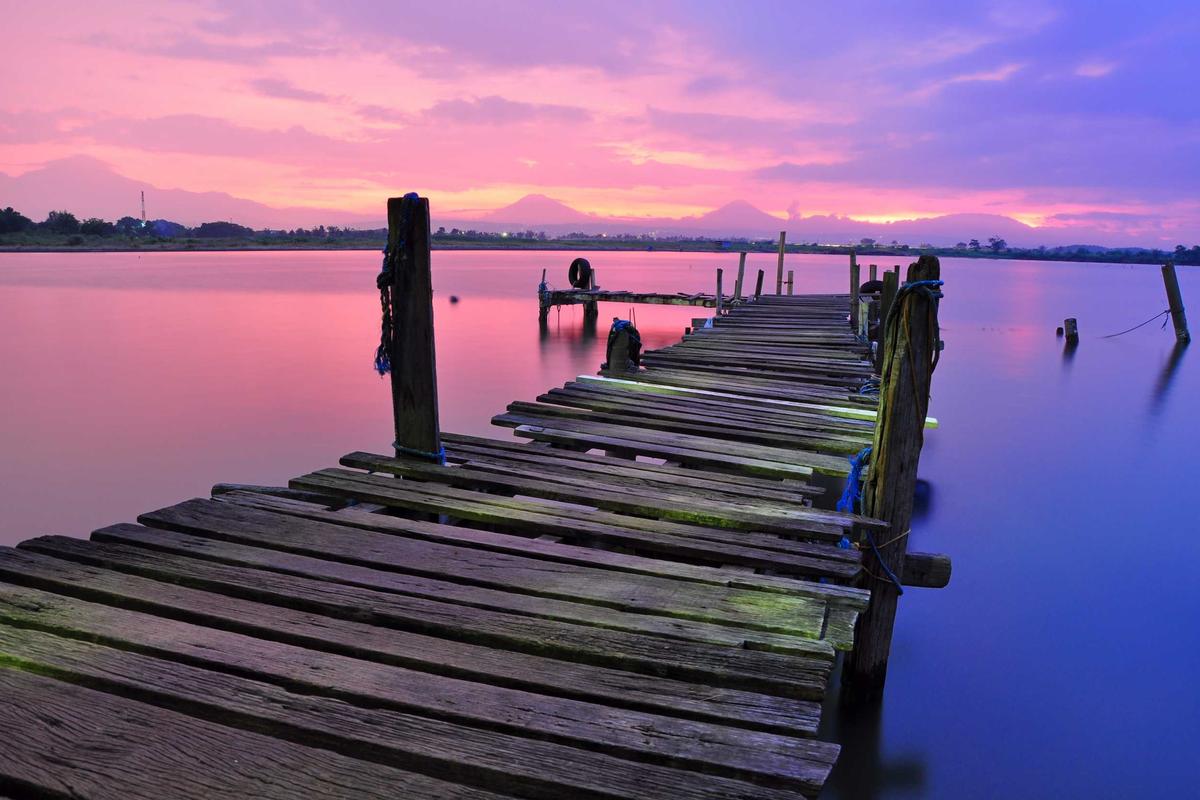 12 Best Places to See Flamingos in Their Natural Habitat