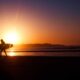 18 Best Places to See Wild Horses in Nature