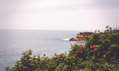 25 Best Year Round Nature Destinations for Every Traveler