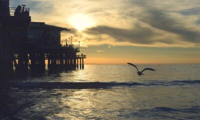 12 Best Nature Destinations to Visit During Winter Solstice