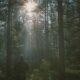 25 Best Places to Experience All Four Seasons in Nature