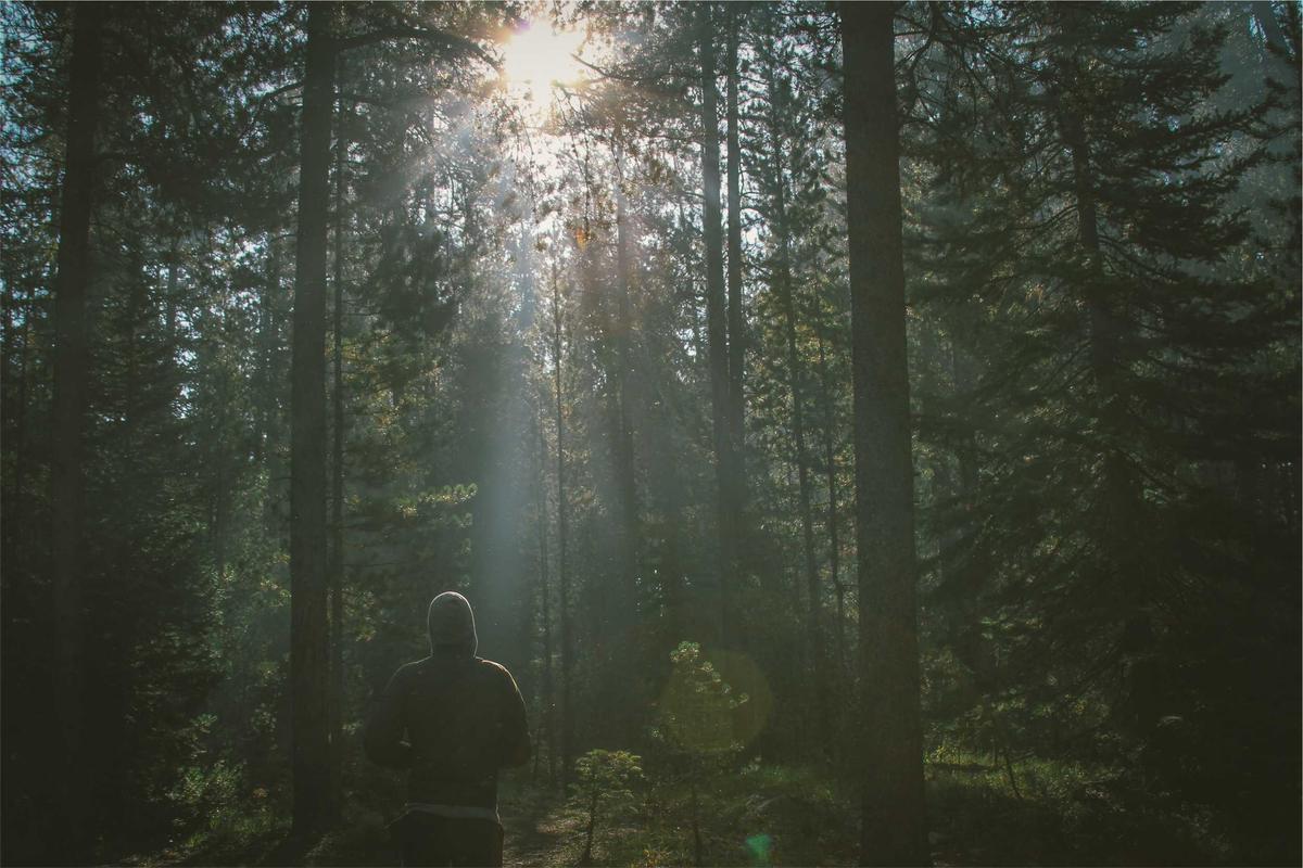 25 Best Places to Experience All Four Seasons in Nature