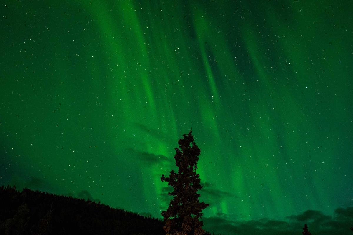 15 Best Spring Mountain Nature Destinations to Explore