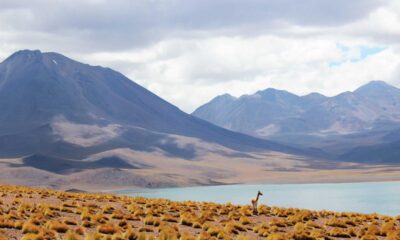 20 Best Wadi and Dry River Desert Nature Destinations