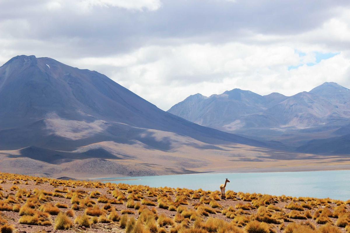 20 Best Wadi and Dry River Desert Nature Destinations