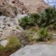 Anza Borrego Desert State Park