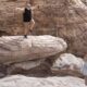 Red Rock Canyon