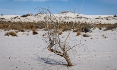 White Sands National Park
