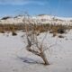 White Sands National Park