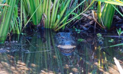 Everglades National Park