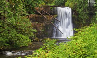 Silver Falls State Park