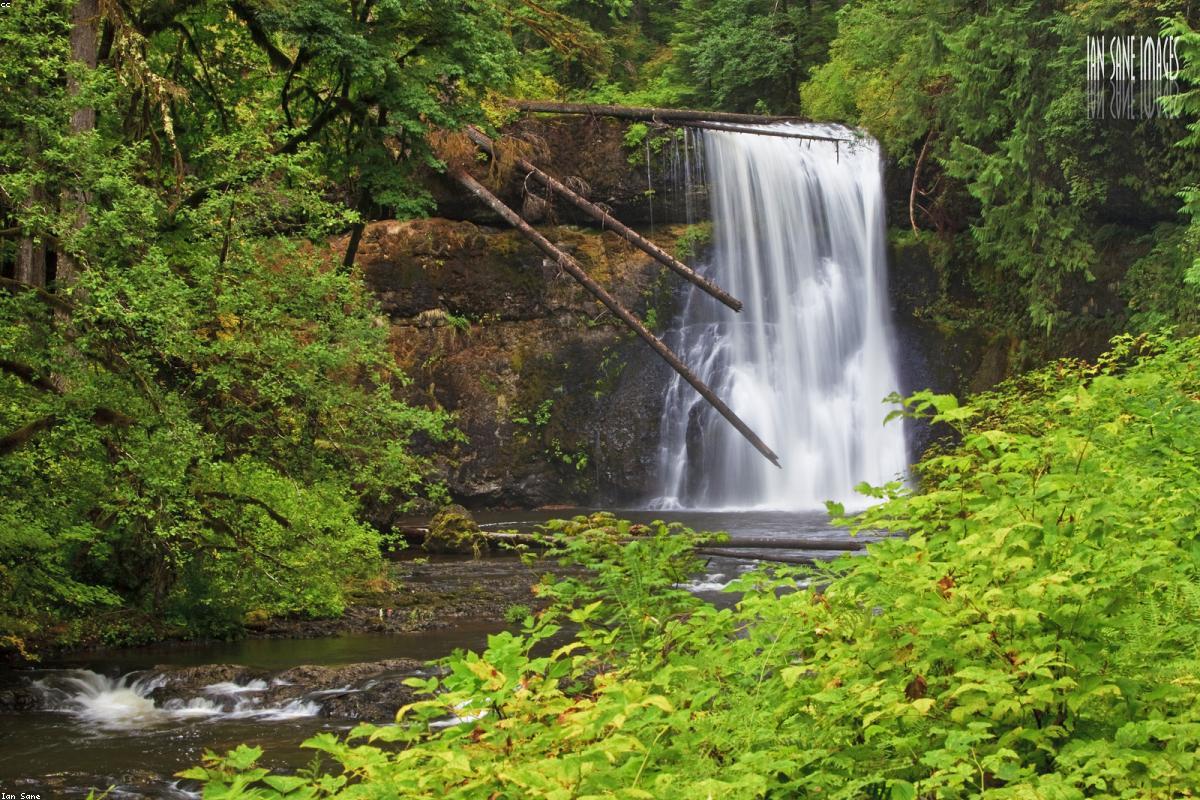 Silver Falls State Park