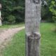 Cumberland Gap National Park