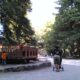 Redwood Forests California