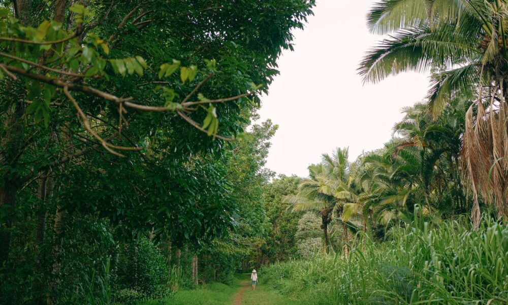 Kauai Hawaii