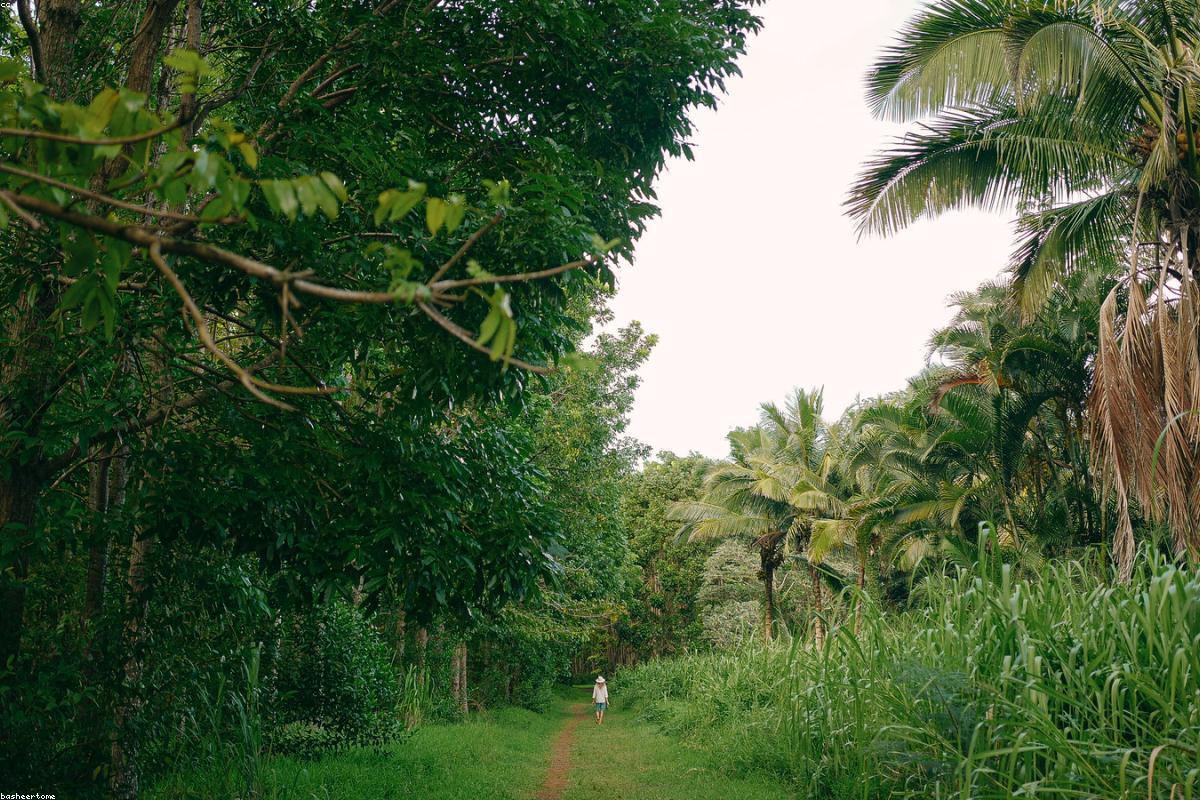 Kauai Hawaii