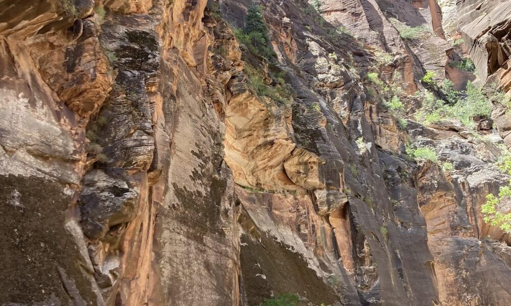 Narrows Zion