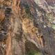 Narrows Zion