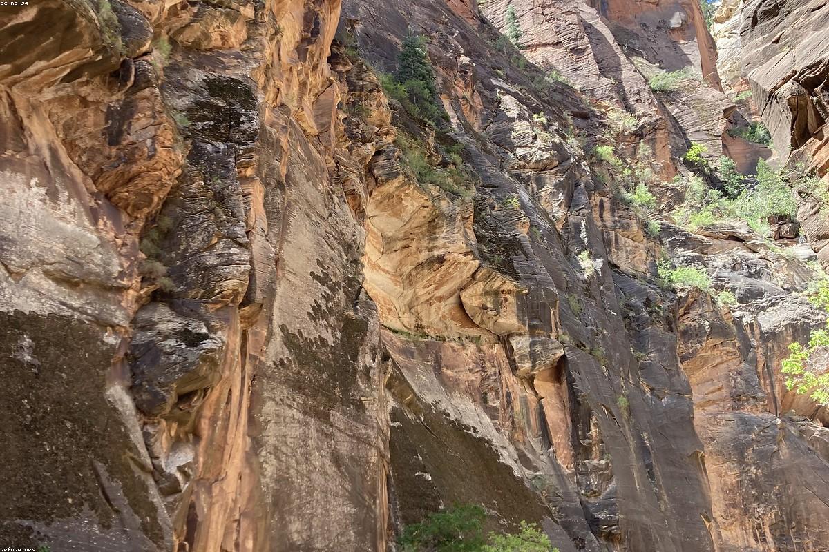 Narrows Zion
