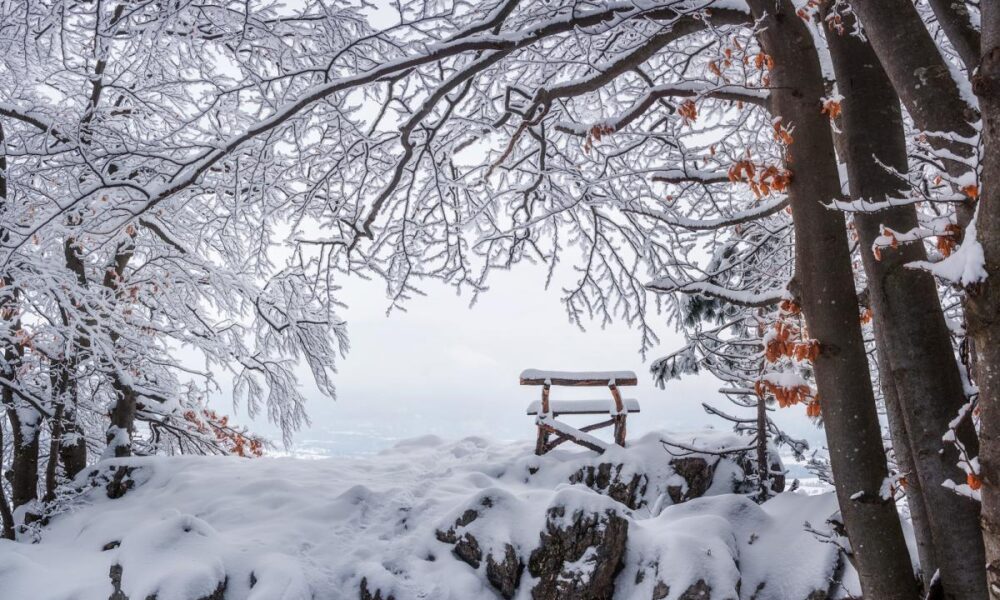 January Travel Destination
