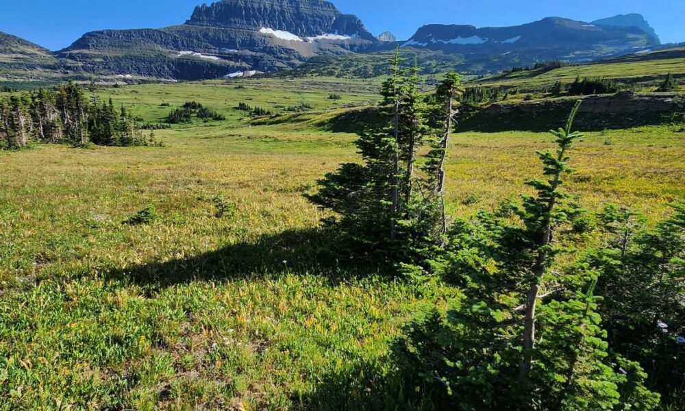 Glacier National Park Montana