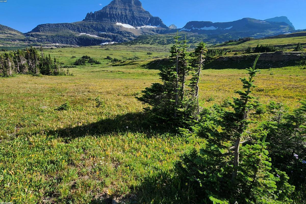 Glacier National Park Montana