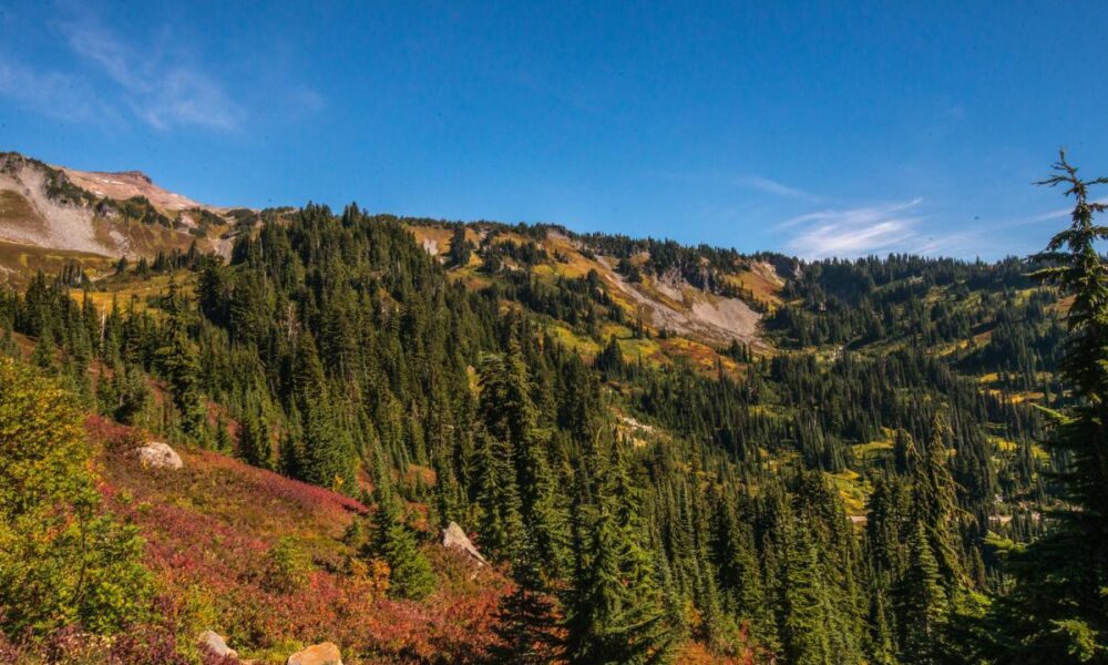 Mount Rainier National Park