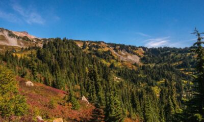 Mount Rainier National Park