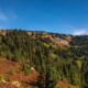 Mount Rainier National Park