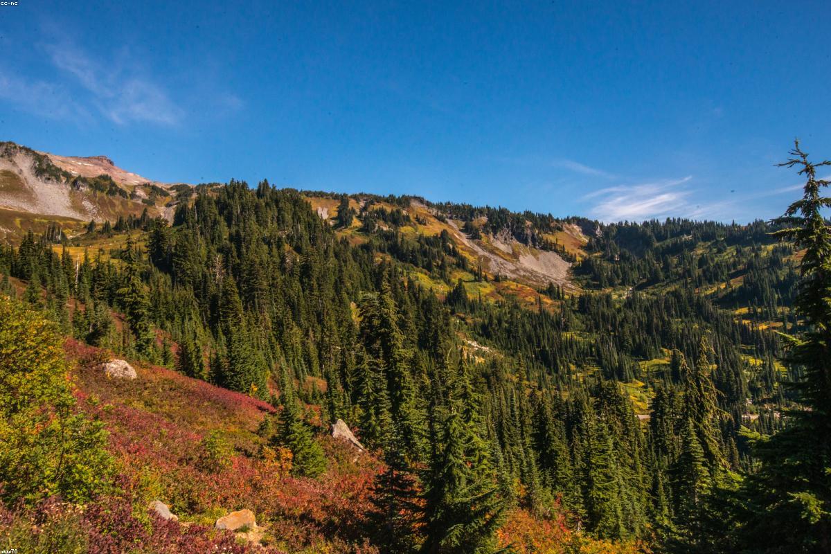 Mount Rainier National Park